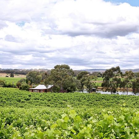 Stonewell Cottages And Vineyards Танунда Экстерьер фото