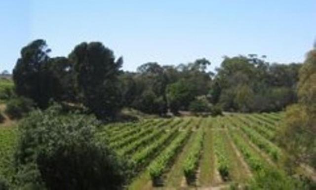 Stonewell Cottages And Vineyards Танунда Экстерьер фото