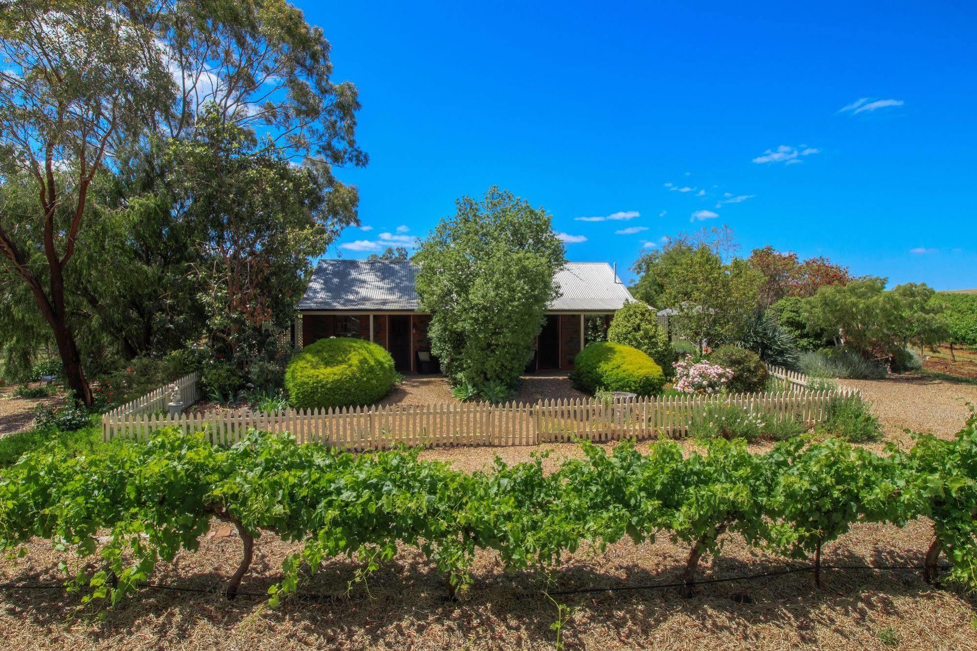 Stonewell Cottages And Vineyards Танунда Экстерьер фото