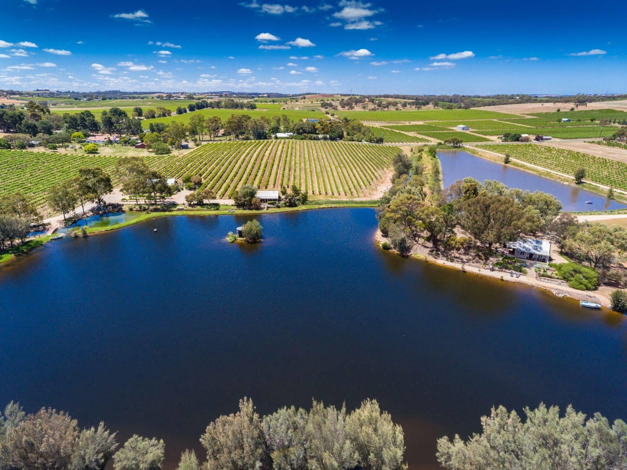 Stonewell Cottages And Vineyards Танунда Экстерьер фото