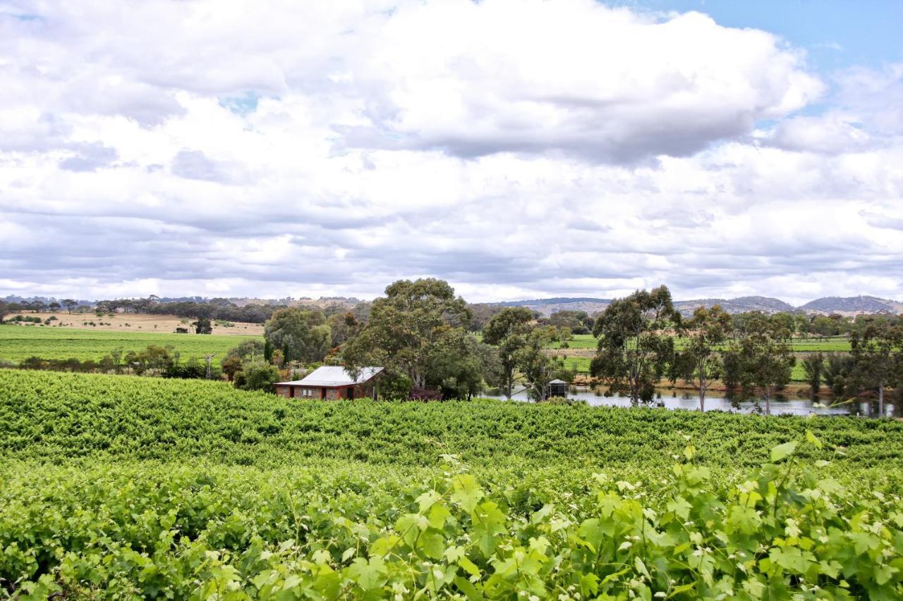 Stonewell Cottages And Vineyards Танунда Экстерьер фото
